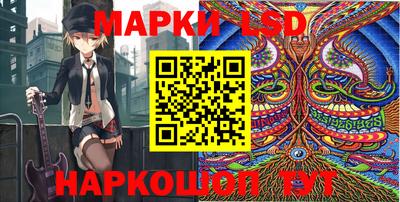 гашик Будённовск