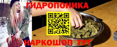 гашик Будённовск