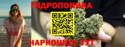 гашик Будённовск