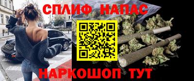 гашик Будённовск