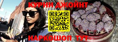 гашик Будённовск