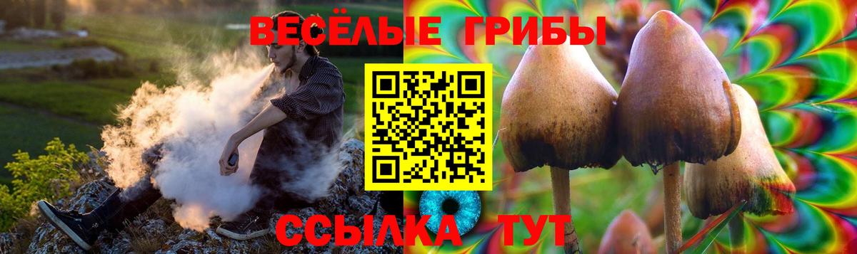 Галлюциногенные грибы Cubensis  Галлюциногенные грибы Psilocybe  Краснотурьинск  Вход с VPN 